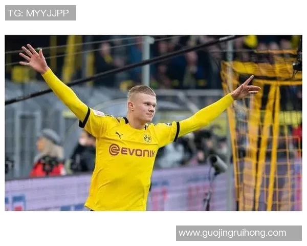 哈兰德：从天才少年到足球巨星的辉煌旅程与未来展望