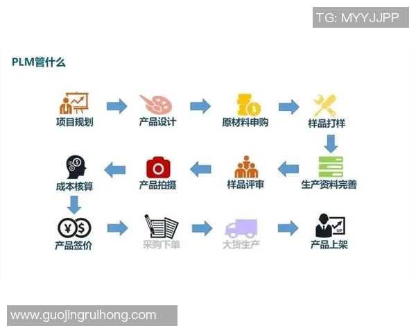 深入解析am与vs的含义及其在不同语境中的用法与区别 深入解析am与vs的含义及其在不同语境中的用法与区别
